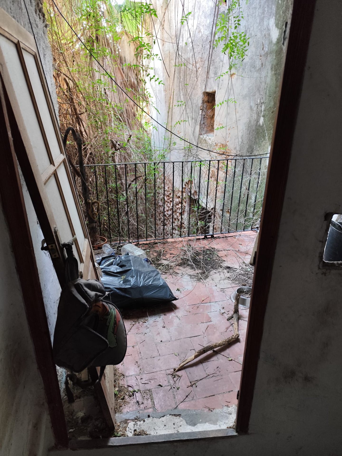 Terraza con maleza y escombros antes del vaciado